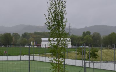 Posadili smo drevo spomina